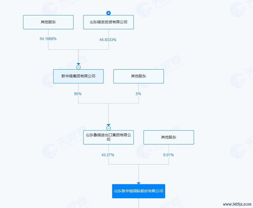 这次被监管点名的新华锦集团，系新华锦波折控股股东。来源：天眼查APP